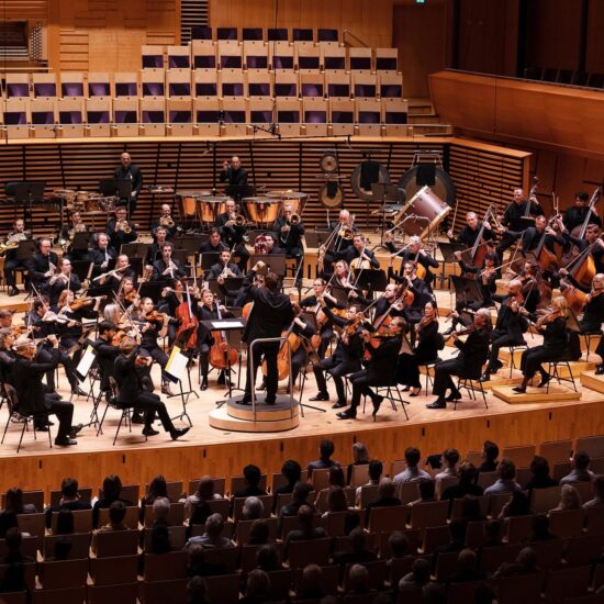 The Stavanger Symphony Orchestra, with a conductor with his back to the audience, performs on a light wooden stage, surrounded by the string section in the foreground, winds and percussion in the background. The auditorium, also made of wood, is partially occupied by the audience.