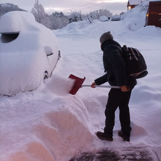 nieve