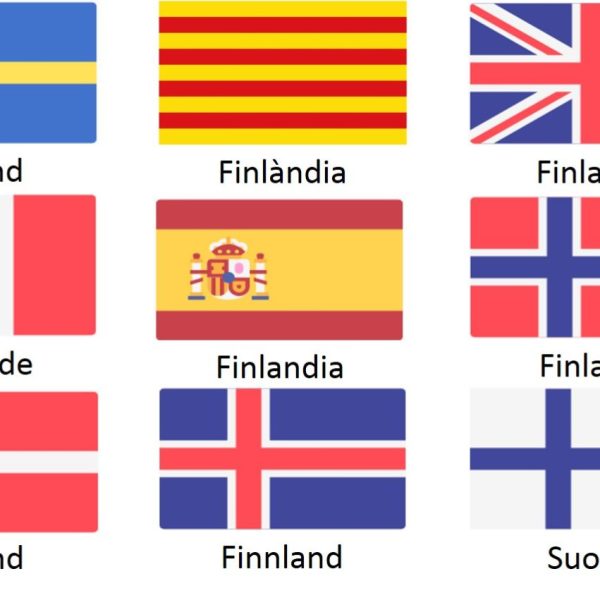 aprender-fines-una-experiancia-unica-articulo-Finlandia-e1553683162216