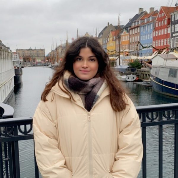 copenhagen3